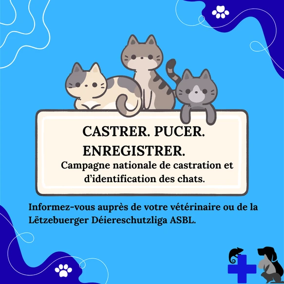 castrer pucer enregistrer campagne de castration Luxembourg